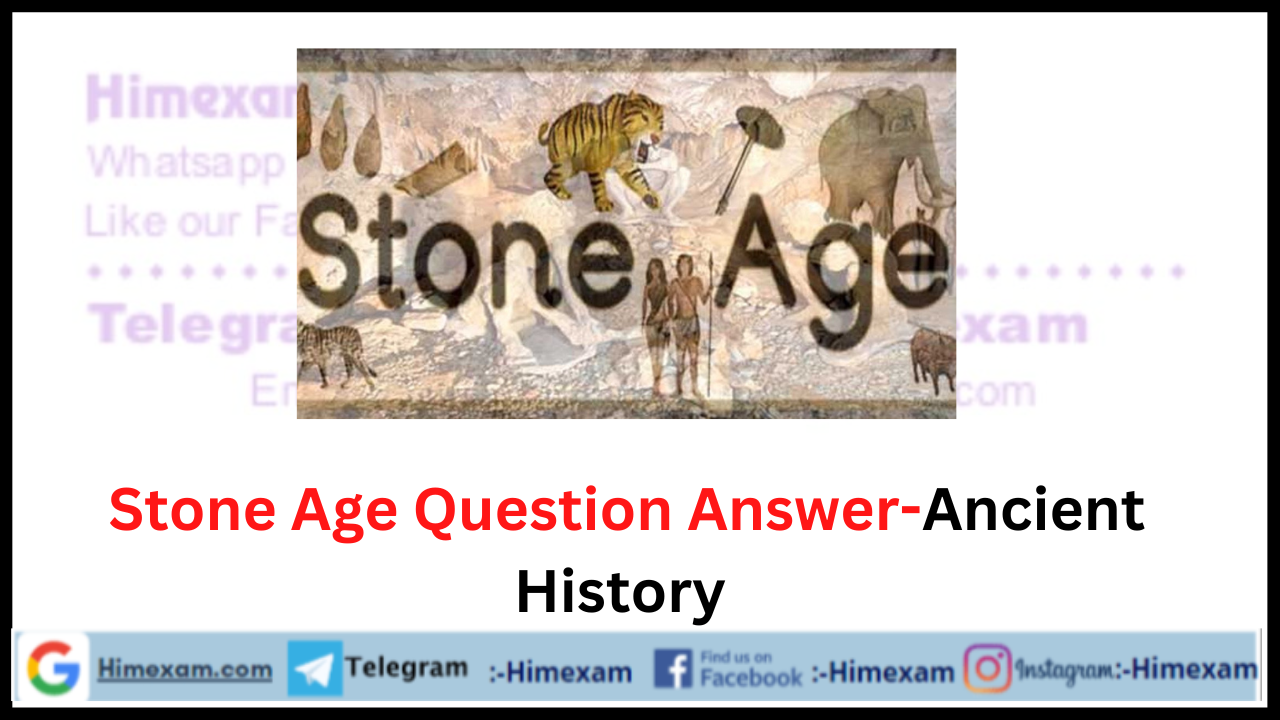 Stone Age Question Answer-Ancient History