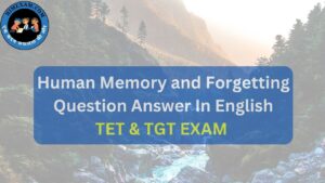 Human Memory and Forgetting Question Answer In English