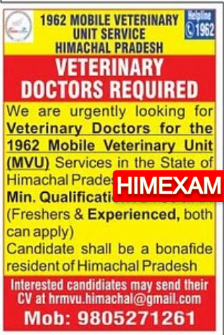 HP 1962 veterinary Unit Doctor Notification 2024 and Apply Link