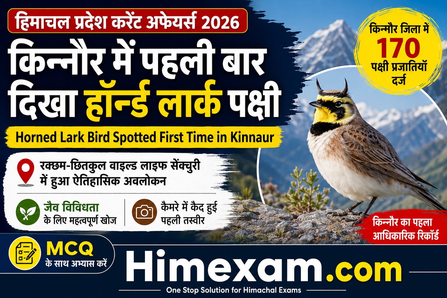 किशोर में पहली बार दिखा हॉर्न्ड लार्क पक्षी | Horned Lark Bird Spotted First Time in Kinnaur